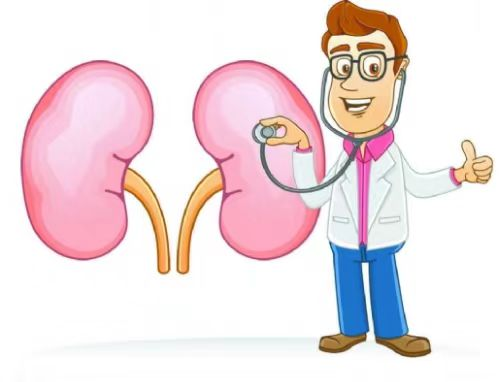 【健康科普】超声小课堂：单纯性肾囊肿的在认识