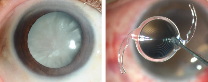 微信图片_20251020115731