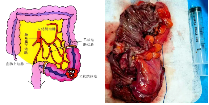 微信图片_20251115081002