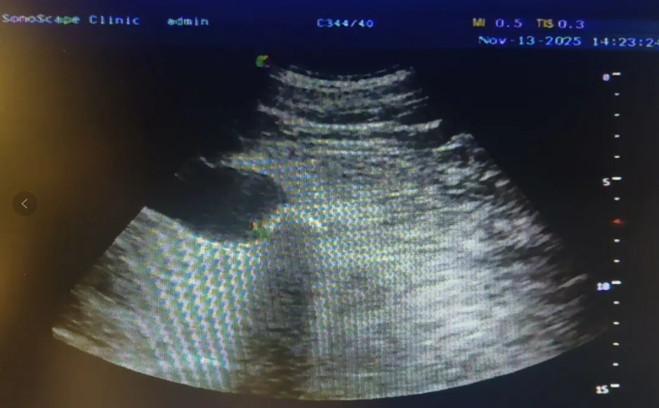 微信图片_20251126081552