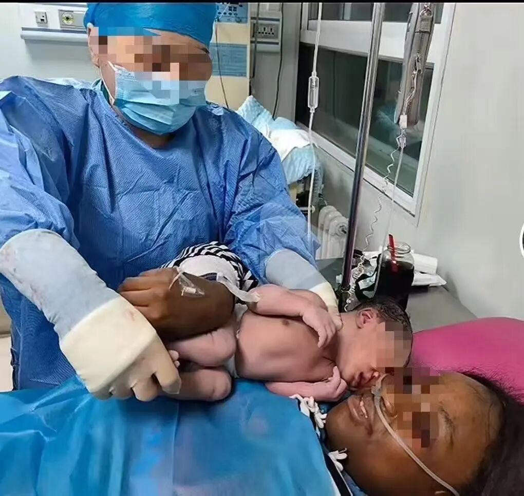 微信图片_20251204080634