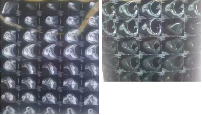 微信图片_20251204081525