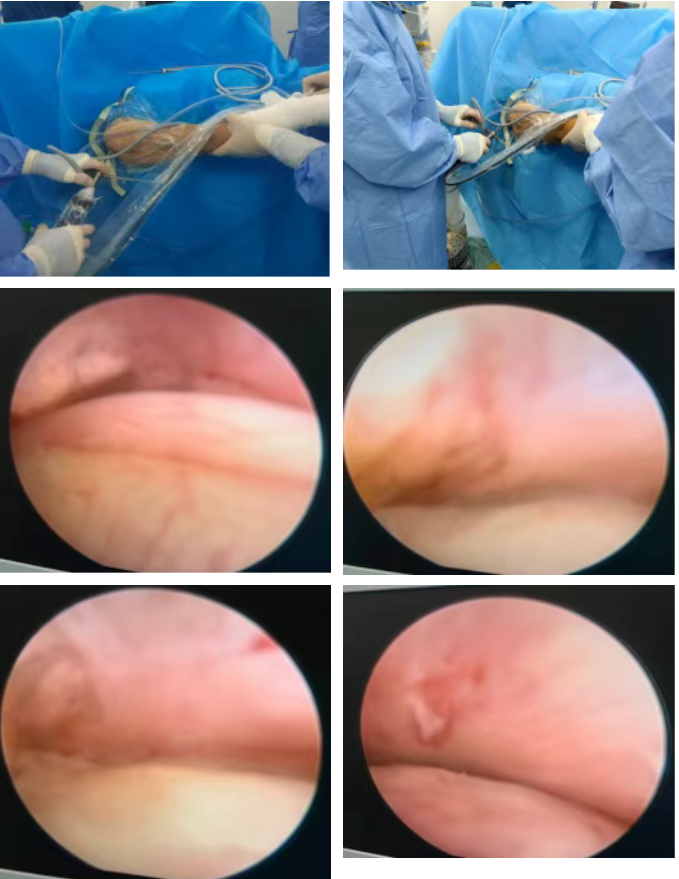 微信图片_20251204081617