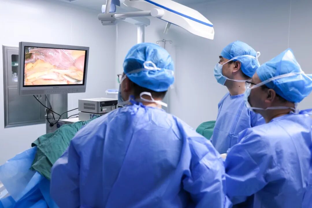 微信图片_20260202084128