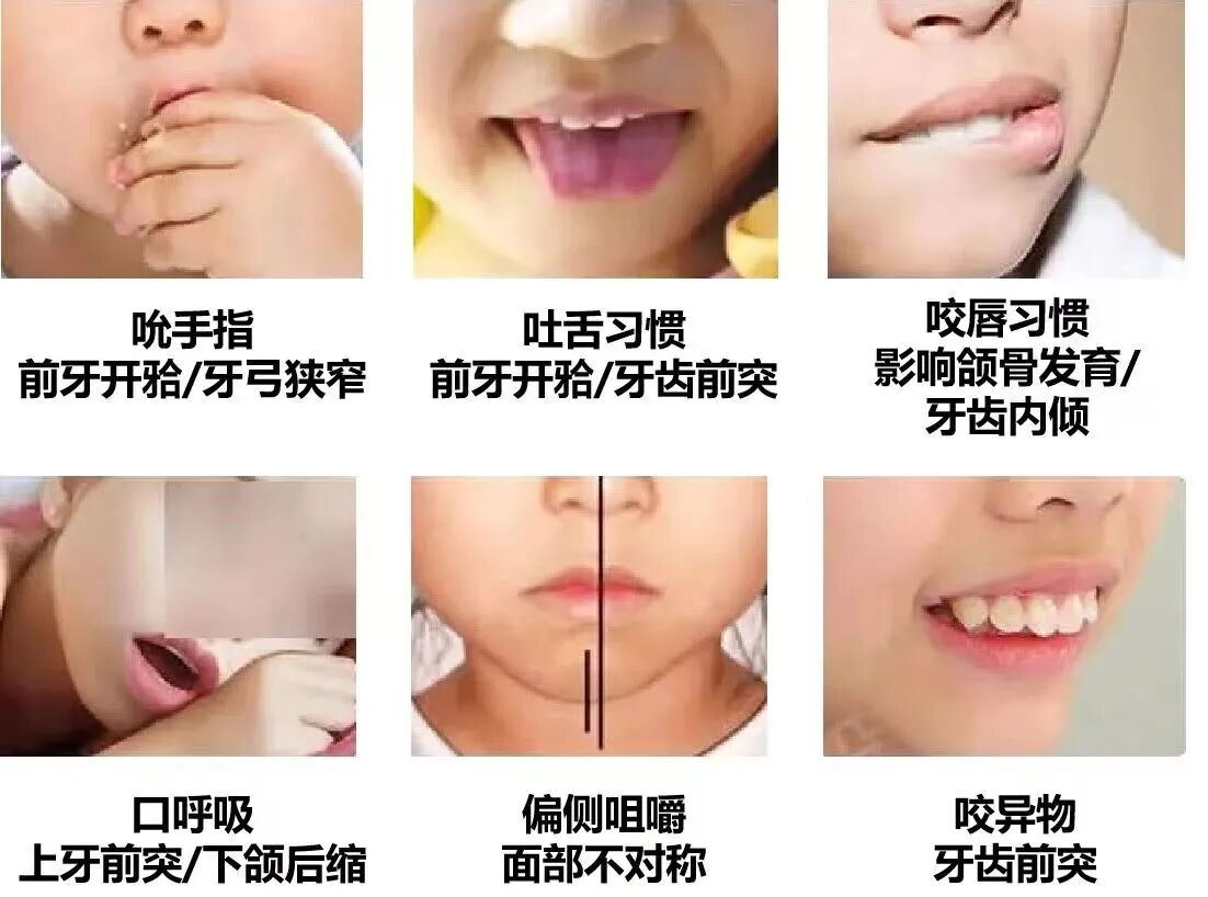 微信图片_2026-08-10_101031_592