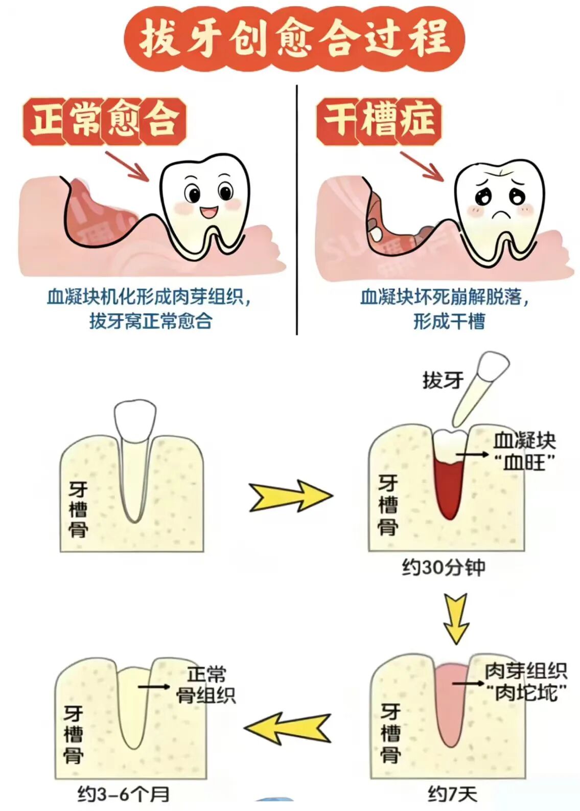 微信图片_2026-08-17_080822_135